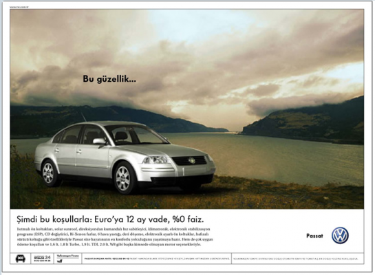 2002 VW Passat.PNG