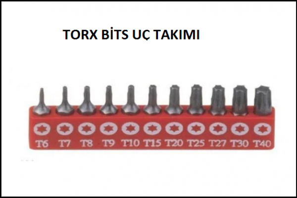 Torx takımı.png